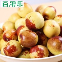 【產(chǎn)地直供】陜西大荔冬棗2/3/4斤包郵 現摘新鮮水果脆甜冬棗子