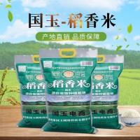 現貨批發(fā) 國玉稻香米2.5kg 農家大米精選5斤袋裝大米秈米量大優(yōu)惠