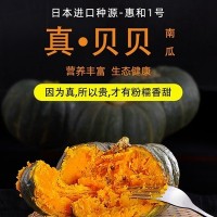 甘肅沙漠正宗日本惠和1號貝貝南瓜板栗味老瓜新鮮4斤寶寶輔食包郵