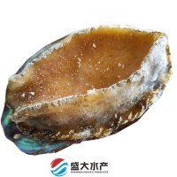 鮑魚(yú) 6頭鮑 -12頭鮑都有 活鮑燙煮 熟凍鎖鮮 爽脆不硬