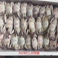 批發(fā)60g-80g冷凍野生三點(diǎn)蟹母蟹,三角母,蟹肉飽滿(mǎn)