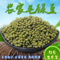 歲耕農家毛綠豆5斤東北新笨綠豆夏日消暑綠豆粥綠豆湯發(fā)豆芽原料