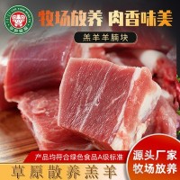 內蒙古草原蒙福羔羊羊腩塊冷凍15kg火鍋燒烤清燉紅燒食材工廠(chǎng)批發(fā)