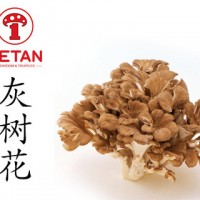 DETAN德添舞茸 新鮮灰樹(shù)花 購買(mǎi)請電話(huà)聯(lián)系，否則不發(fā)貨