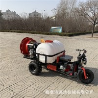 折疊桿玉米地滅蟲(chóng)打藥車(chē) 柴油液壓三輪打藥機 駕乘式柴油噴霧機