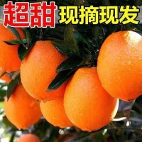 冰糖橙新鮮橙子10斤水果超甜手剝橙應季孕婦水果果凍橙整箱批發(fā)