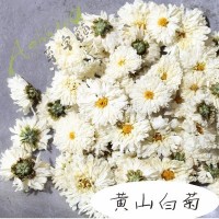 黃山白菊花貢菊散裝花品質(zhì)太陽(yáng)菊安徽花茶泡水花草茶大貨批發(fā)