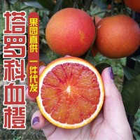 四川資中塔羅科血橙10斤帶箱新鮮水果當季手剝甜橙非紅心肉橙子柑