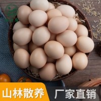 河南特產(chǎn)我老家土雞蛋批發(fā) 農家散養新鮮草雞蛋廠(chǎng)家直銷(xiāo)