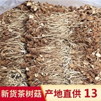 古田新貨茶樹(shù)菇干貨 不開(kāi)傘茶樹(shù)菇散裝批發(fā)20斤裝 菌菇干貨