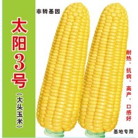 批發(fā)菜園蔬菜種子 泰系超甜玉米種子 太陽(yáng)3號400克裝蔬菜基地菜籽