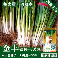 高白大蔥種子大蔥籽蔬菜種子批發(fā)菜種菜籽種子公司