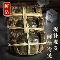 10只全母滿黃大閘蟹鮮活大螃蟹包郵母蟹禮盒1-4兩源產(chǎn)地冷鏈直發(fā)