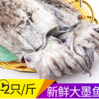 海鮮批發(fā)冷凍墨魚(yú)肉厚實(shí)好吃新鮮生鮮大烏賊飯店酒店量大從優(yōu)現貨