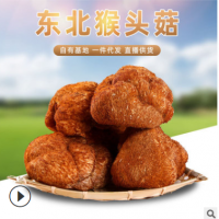 森龍干猴頭菇100g 農副產(chǎn)品干貨煲湯食用菌東北特產(chǎn)猴頭菇