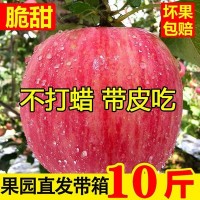 新鮮寒富紅富士蘋(píng)果水果脆甜當季水果生鮮大果整箱產(chǎn)地直發(fā)