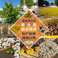 正宗新會(huì )柑、新會(huì )陳皮批發(fā)