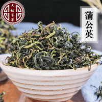 長(cháng)白山新貨水洗蒲公英茶散裝婆婆丁茶批發(fā)蒲公英茶