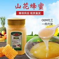 現貨供應農家土蜂蜜 500g結晶山花蜂蜜 土特產(chǎn)洋槐蜂蜜一件代發(fā)