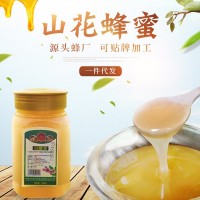 現貨供應土蜂蜜結晶山花蜂蜜500g瓶裝土特產(chǎn)洋槐蜂蜜一件代發(fā)