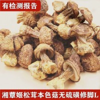 廠(chǎng)家直供湘蕈姬松茸L干貨巴西菇批發(fā)食用菌松茸煲湯菌菇料250g