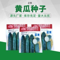 新品黃瓜雜交種 肉厚嫩脆黃瓜蔬菜籽 農田菜園基地高產(chǎn)黃瓜種子