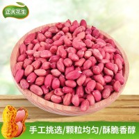 花生廠(chǎng)家批發(fā)銷(xiāo)售四粒紅花生60-70 散裝紅花生米 榨油花生