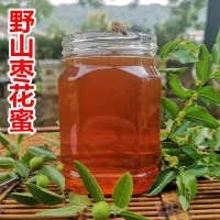 農場(chǎng)蜂蜜棗花蜜 蜂農自產(chǎn)自銷(xiāo)棗花原蜜貼牌 500g土蜂蜜批發(fā)