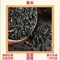 大量批發(fā)紫米紫糯米500g新米散裝產(chǎn)黑糯粥血糯五谷雜糧一件代發(fā)