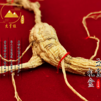 大掌柜東北特產(chǎn)吉林長(cháng)白山人參禮盒五寶禮盒50g/盒泡酒煲湯送禮