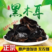 東北長(cháng)白山黑山木耳干貨食用菌代發(fā)500g