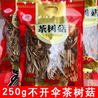 福建干茶樹(shù)菇批發(fā)茶樹(shù)菇茶樹(shù)菇干貨散裝原產(chǎn)地直銷(xiāo)批發(fā) 500g