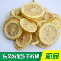 散裝四川安岳蜂蜜凍干檸檬干片 烘干檸檬片 花果茶 廠(chǎng)家批發(fā)檸檬