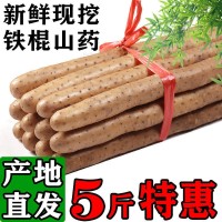 新鮮批發(fā)鐵棍山藥小白嘴麻山藥1斤3斤5斤淮懷山藥粉糯現挖帶土