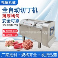 不銹鋼全自動(dòng)肉類(lèi)切丁機 牛肉粒切粒機 廠(chǎng)家供應多功能切丁機