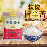 限購 2022年新米華春香米江西特產(chǎn)奉新大米5KG10斤袋裝家用米廠(chǎng)家