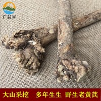 甘肅岷縣野生黃芪大條 可切黃芪片磨粉 批發(fā)供應無(wú)硫北芪條北芪片