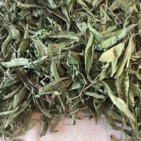 【8元特賣(mài)】甜葉菊 新貨 制糖 百益壽茶花草代發(fā)貨配方 貨源