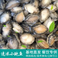 速凍鮑魚(yú)批發(fā)不帶殼冷凍小鮑魚(yú)肉 海鮮餐飲酒店海產(chǎn)品貝類(lèi)廠(chǎng)家