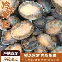 凍干鮑魚(yú)6-12頭鮑魚(yú) 海鮮水產(chǎn)酒店佛跳墻食材 帶殼活凍大鮑魚(yú)批發(fā)