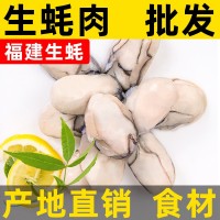 福建去殼鮮活生蠔肉海鮮水產(chǎn)新鮮大補現剝生蠔海蠣牡蠣肉速凍500g