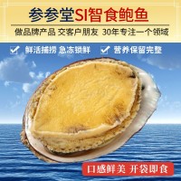 順豐廠(chǎng)家批發(fā)煙臺鮮活七孔即食鮑魚(yú) 海捕新鮮海鮮佛跳墻食材