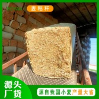 源頭廠(chǎng)家麥秸稈打碎草塊青貯飼料 家禽家畜牧草養殖粗飼料