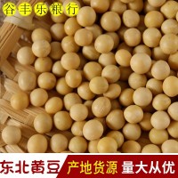 大量批發(fā)當季新黃豆 豆漿食品原料五谷雜糧東北大豆袋裝80斤