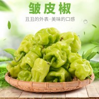 云南特產(chǎn)農家自種皮薄皺皮辣虎皮辣椒青辣椒清脆新鮮蔬菜現摘現發(fā)（價(jià)格面議）