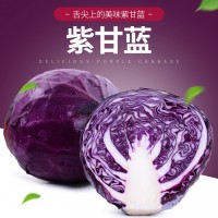 云南新鮮蔬菜紫甘藍紫包菜球生菜沙拉蔬菜生菜卷心菜椰菜現摘現發(fā)（價(jià)格面議）