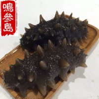 大連海參長(cháng)?？h深海即食海參遼參500g一件代發(fā)口感好工廠(chǎng)加工批發(fā)