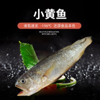 舟山東海3條/400g大黃魚(yú) 冷凍簡(jiǎn)裝凍貨黃魚(yú) 批發(fā)家用鮮美深水黃魚(yú)