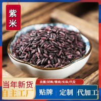 云南特產(chǎn)墨江紫糯米新貨 煲粥血糯米粗糧紫米五谷雜糧批發(fā)