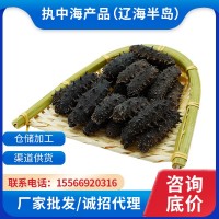 執中大連純淡干海參工廠(chǎng)批發(fā)遼刺參禮盒非即食海參源頭